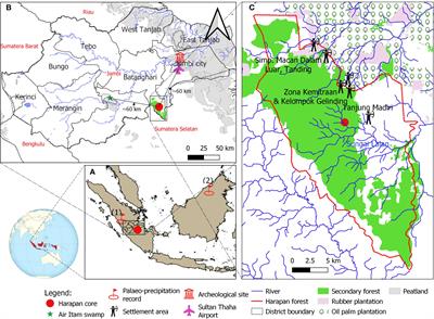 Late Holocene riparian vegetation dynamics, environmental changes, and human impact in the Harapan forest of Sumatra, Indonesia